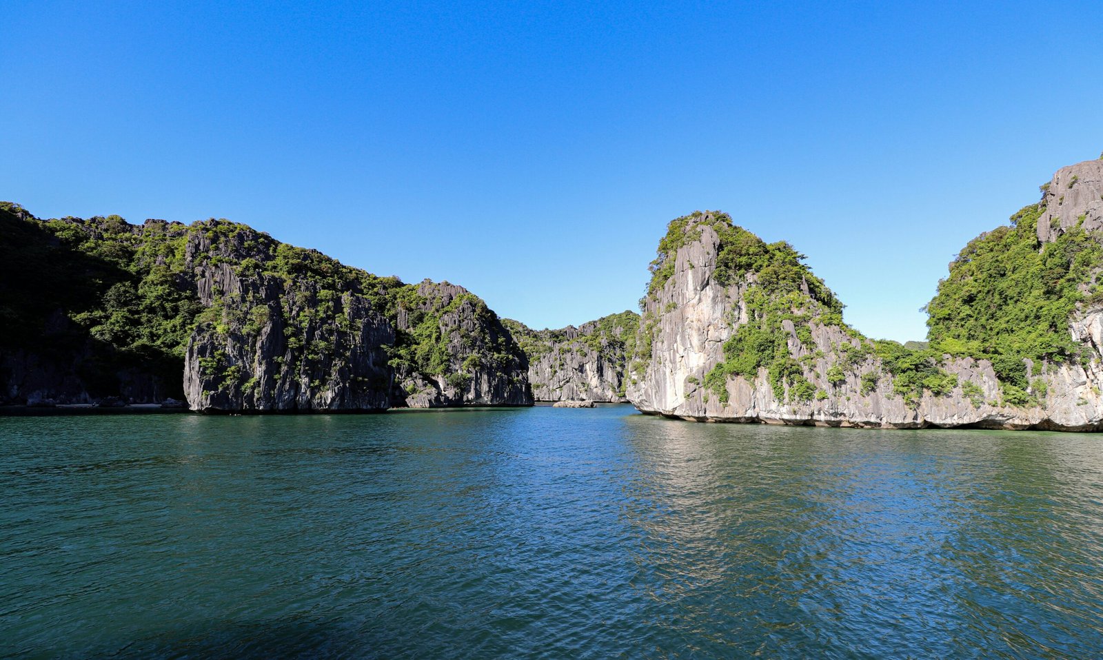 a body of water surrounded by mountains and trees