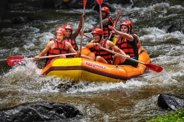 Private Ayung White River Rafting